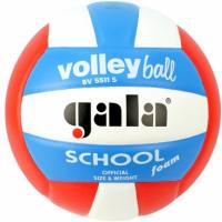 Волейбольный мяч GALA School Foam Colour BV5511S р. 5 белый-голубой-красный
